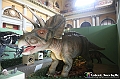 VBS_1061 - Dinosauri. Terra dei giganti